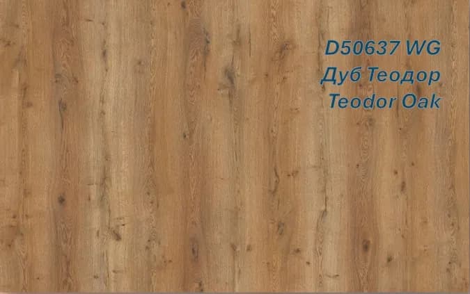 TEODOR OAK